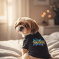 Pet T-Shirt - DY Exclusive