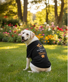 Pet T-Shirt - DY Exclusive