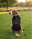 Pet T-Shirt - DY Exclusive